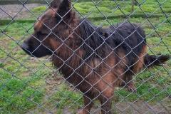 1ab7b35a-b9f3-46ca-9bbe-c7f7fed48058