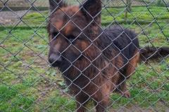 b9ab3103-6869-4ddb-83c5-002bc91e0428