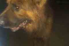 e930d997-3973-42ab-ae4c-968a63bda573