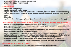 Dodaj nagłówek - 1